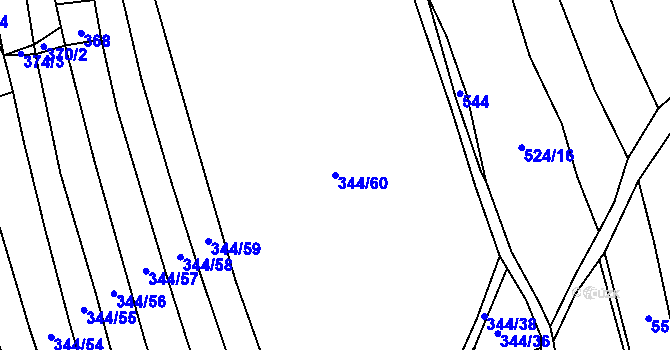 Parcela st. 344/60 v KÚ Strhaře, Katastrální mapa