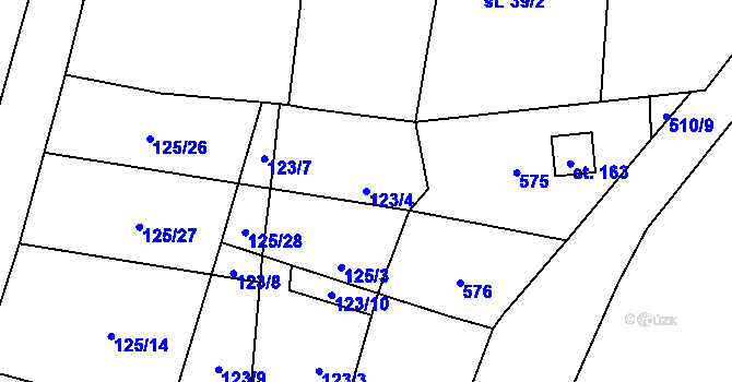 Parcela st. 123/4 v KÚ Strkovice, Katastrální mapa