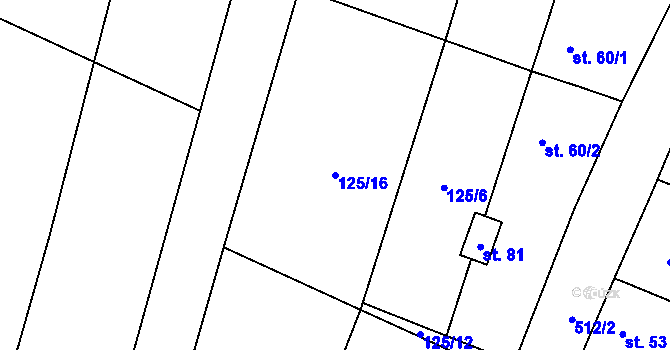 Parcela st. 125/16 v KÚ Strkovice, Katastrální mapa