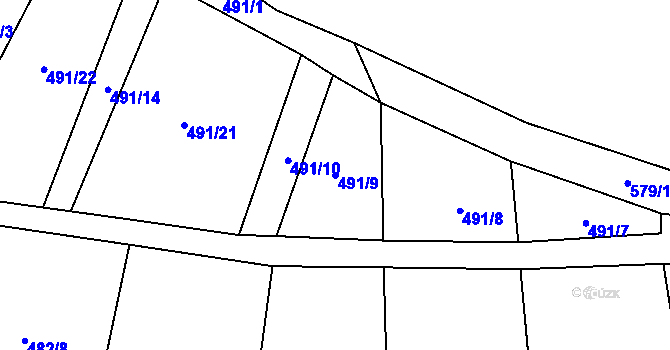Parcela st. 491/9 v KÚ Strkovice, Katastrální mapa