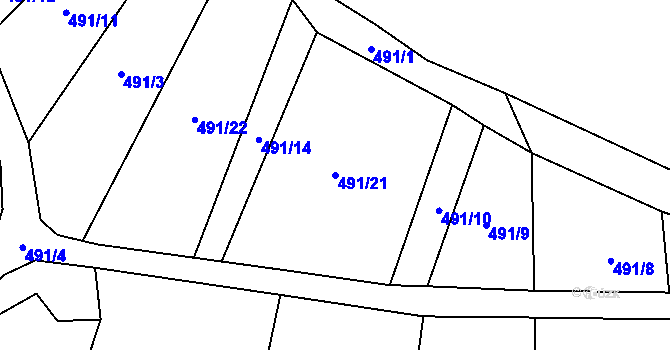 Parcela st. 491/21 v KÚ Strkovice, Katastrální mapa