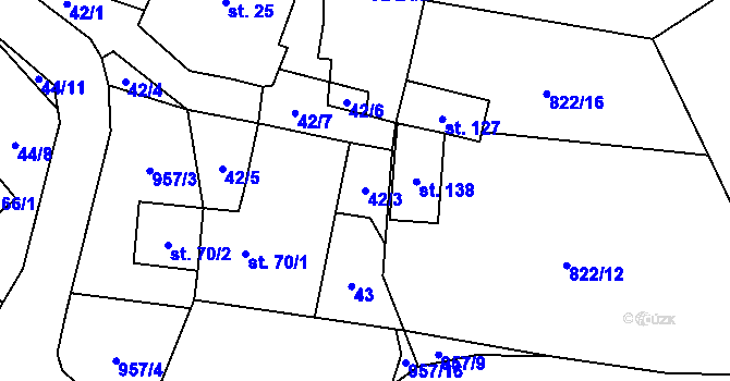 Parcela st. 42/3 v KÚ Nová Olešná, Katastrální mapa