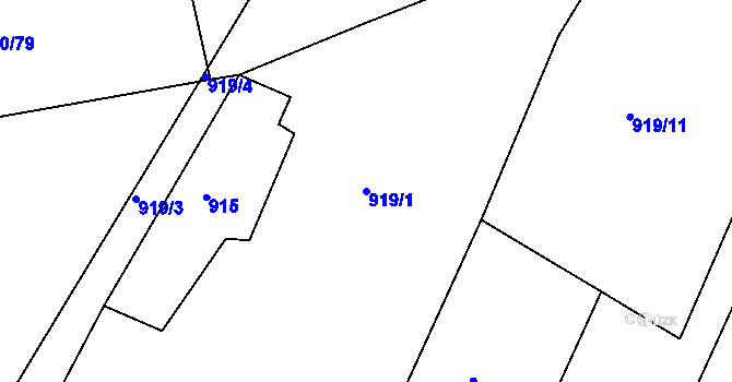 Parcela st. 919/1 v KÚ Struhaře, Katastrální mapa