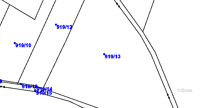 Parcela st. 919/13 v KÚ Struhaře, Katastrální mapa