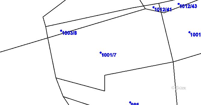 Parcela st. 1001/7 v KÚ Struhaře, Katastrální mapa