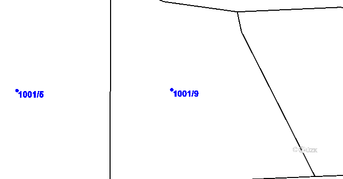 Parcela st. 1001/9 v KÚ Struhaře, Katastrální mapa