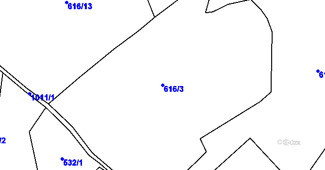 Parcela st. 616/3 v KÚ Horní Tašovice, Katastrální mapa