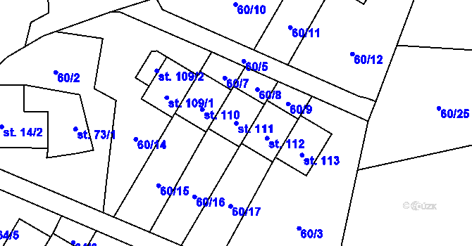 Parcela st. 111 v KÚ Žalmanov, Katastrální mapa