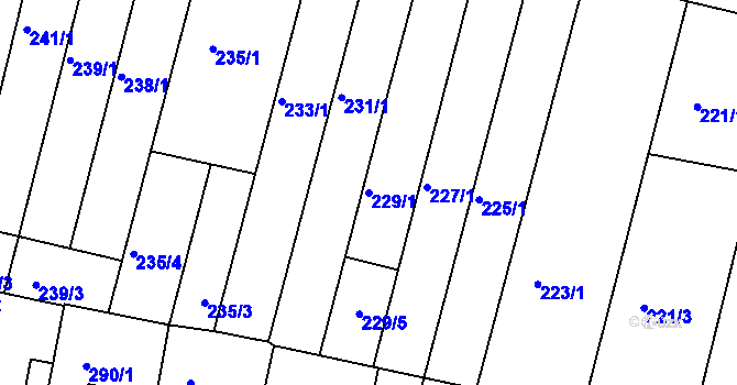Parcela st. 229/1 v KÚ Střelice u Brna, Katastrální mapa