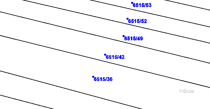 Parcela st. 6515/42 v KÚ Střelice u Brna, Katastrální mapa