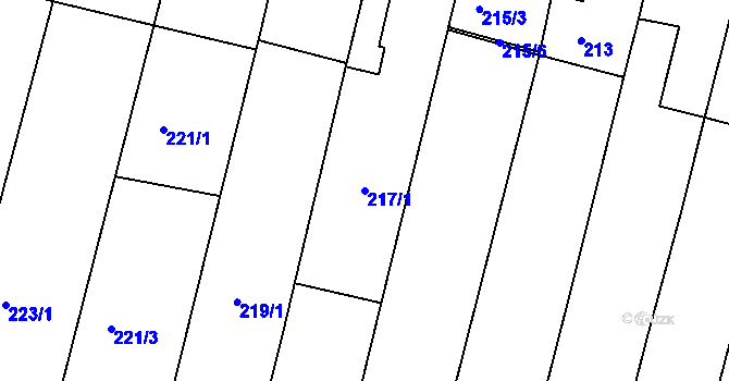 Parcela st. 217/1 v KÚ Střelice u Brna, Katastrální mapa