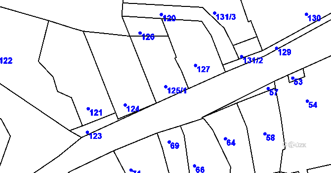 Parcela st. 125/1 v KÚ Střelice u Brna, Katastrální mapa