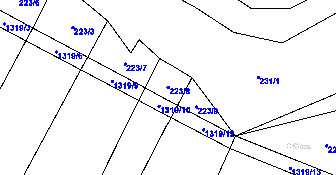 Parcela st. 223/8 v KÚ Střelice u Jevišovic, Katastrální mapa