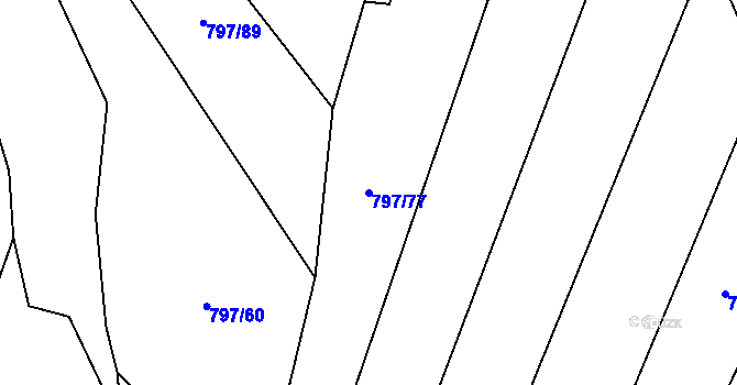 Parcela st. 797/77 v KÚ Střelice u Jevišovic, Katastrální mapa