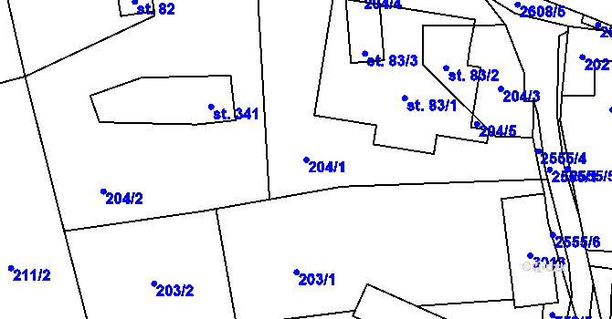 Parcela st. 204/1 v KÚ Střelná na Moravě, Katastrální mapa