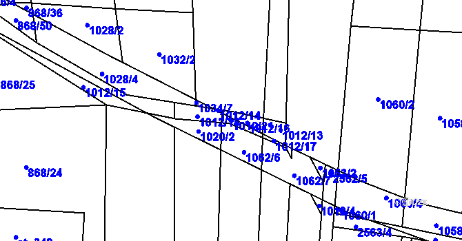Parcela st. 1012/21 v KÚ Střelná na Moravě, Katastrální mapa