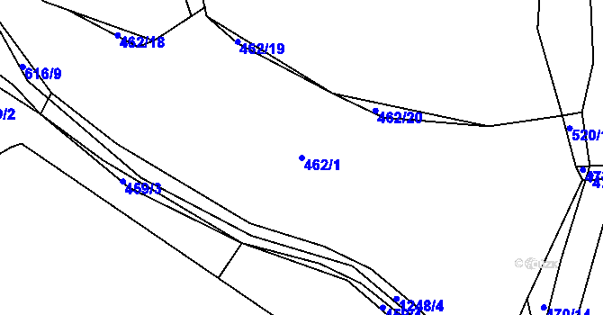 Parcela st. 462/1 v KÚ Střelské Hoštice, Katastrální mapa