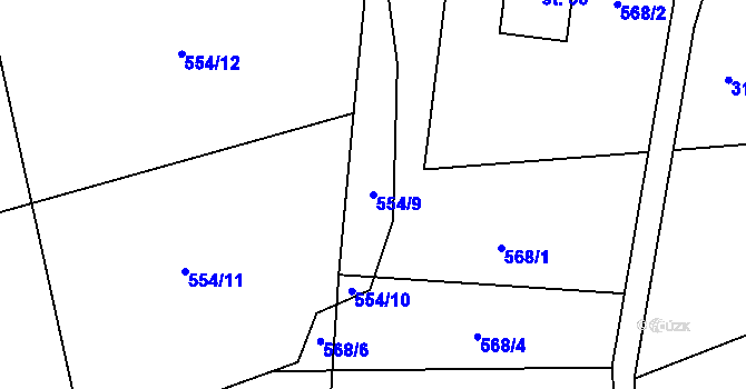 Parcela st. 554/9 v KÚ Bor u Božejova, Katastrální mapa
