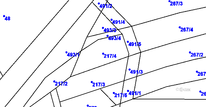 Parcela st. 217/4 v KÚ Střítež u Černovic, Katastrální mapa