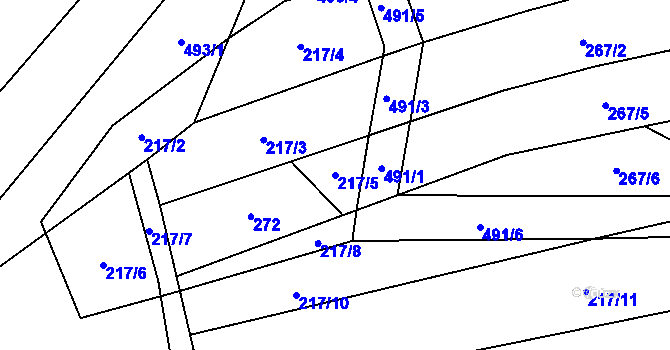 Parcela st. 217/5 v KÚ Střítež u Černovic, Katastrální mapa