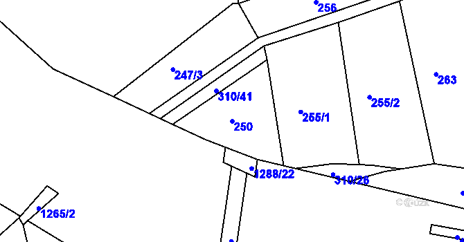 Parcela st. 250 v KÚ Stupava, Katastrální mapa