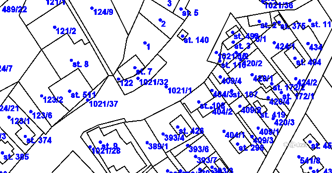 Parcela st. 1021/1 v KÚ Sudkov, Katastrální mapa