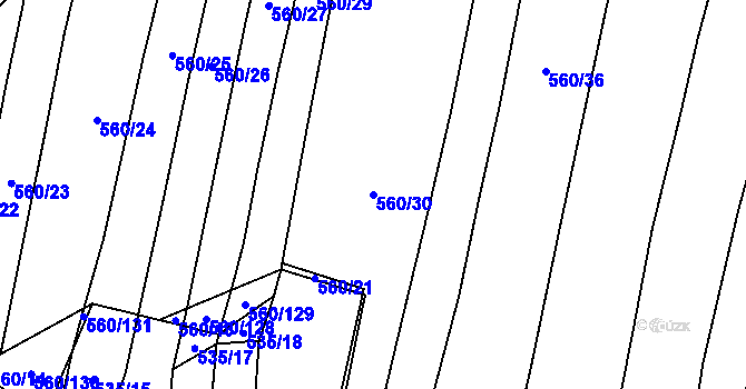 Parcela st. 560/30 v KÚ Černýšovice, Katastrální mapa