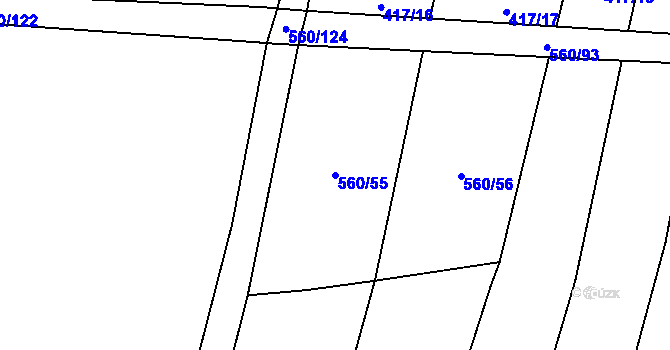 Parcela st. 560/55 v KÚ Černýšovice, Katastrální mapa
