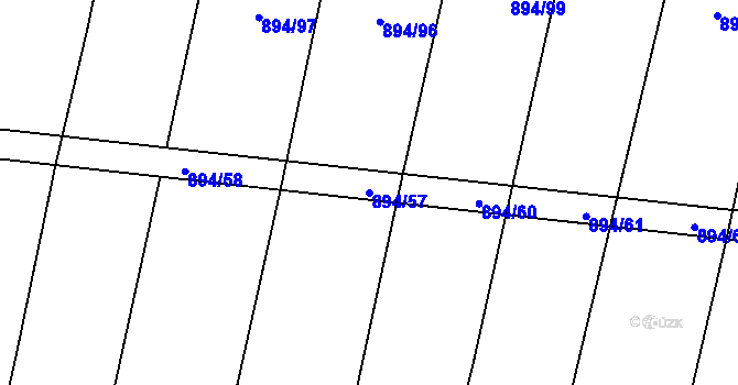 Parcela st. 894/57 v KÚ Černýšovice, Katastrální mapa