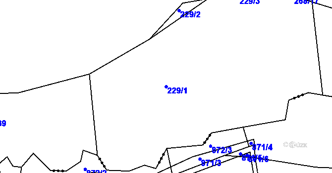 Parcela st. 229/1 v KÚ Prostředkovice, Katastrální mapa