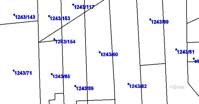 Parcela st. 1243/60 v KÚ Suchá Loz, Katastrální mapa