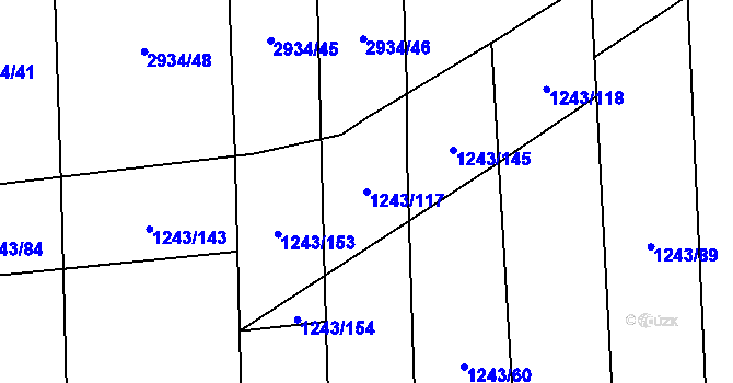 Parcela st. 1243/117 v KÚ Suchá Loz, Katastrální mapa