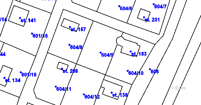 Parcela st. 604/9 v KÚ Dolní Staňkov, Katastrální mapa