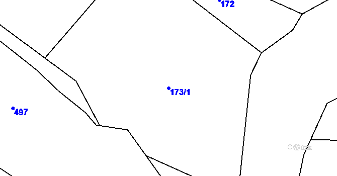 Parcela st. 173/1 v KÚ Hojšín, Katastrální mapa