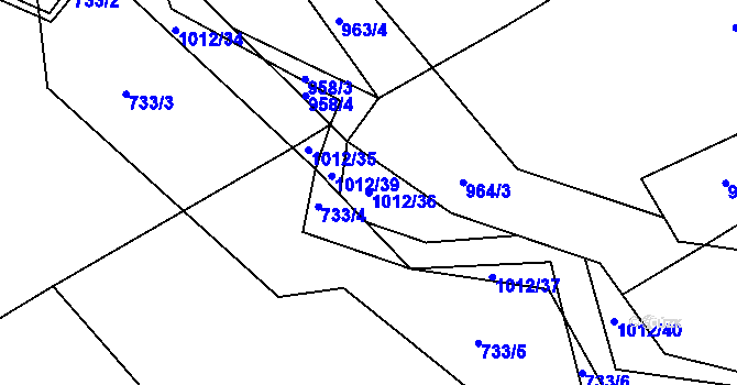 Parcela st. 1012/36 v KÚ Světnov, Katastrální mapa