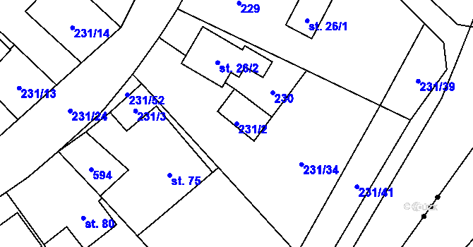 Parcela st. 231/2 v KÚ Svídnice u Slatiňan, Katastrální mapa