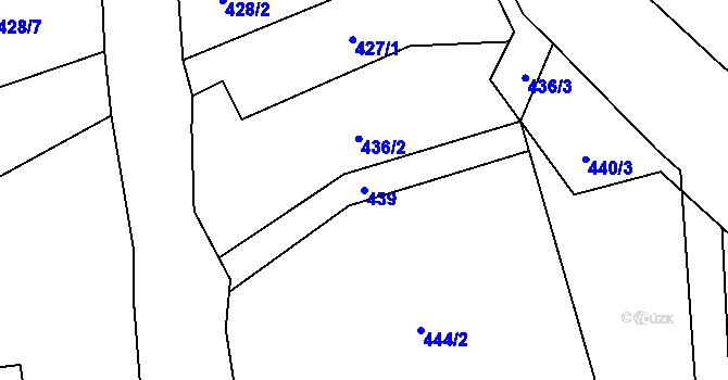 Parcela st. 439 v KÚ Svídnice u Slatiňan, Katastrální mapa