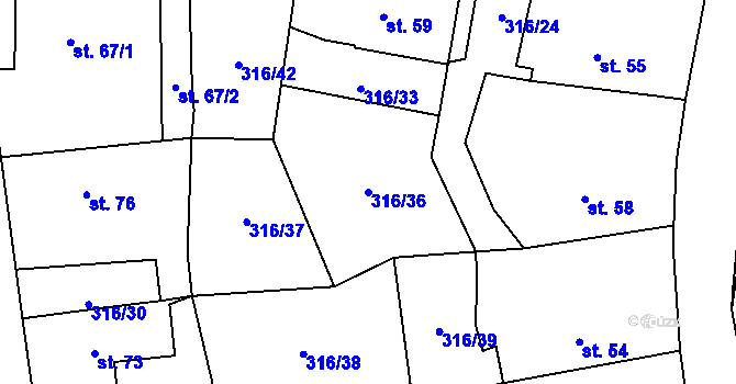 Parcela st. 316/36 v KÚ Trpišov, Katastrální mapa