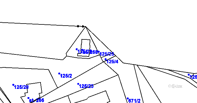 Parcela st. 125/25 v KÚ Svinary, Katastrální mapa