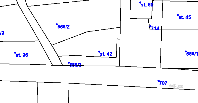 Parcela st. 42 v KÚ Svinařov, Katastrální mapa