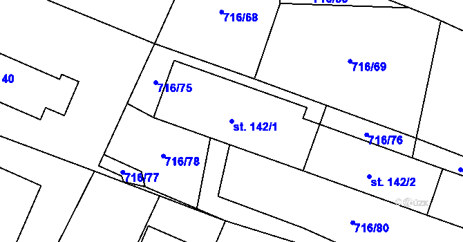 Parcela st. 142/1 v KÚ Sviny, Katastrální mapa