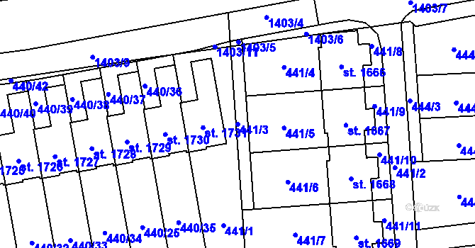 Parcela st. 441/3 v KÚ Čtyřicet Lánů, Katastrální mapa