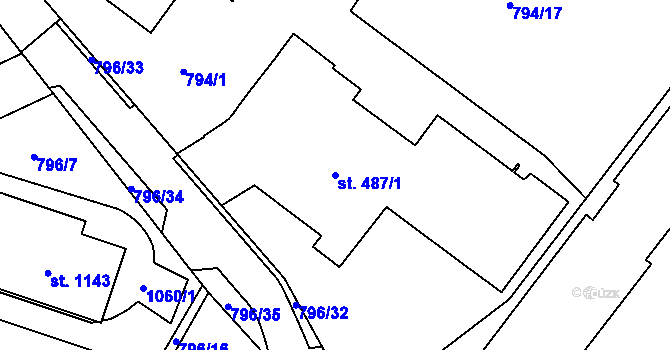 Parcela st. 487/1 v KÚ Svobodné Dvory, Katastrální mapa
