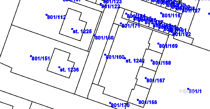 Parcela st. 801/160 v KÚ Svobodné Dvory, Katastrální mapa
