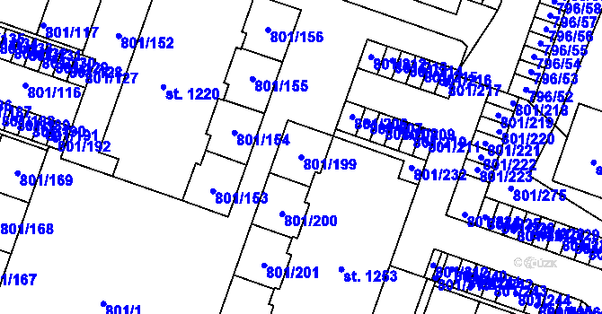 Parcela st. 801/199 v KÚ Svobodné Dvory, Katastrální mapa