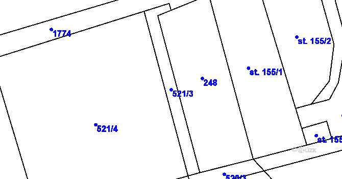 Parcela st. 521/3 v KÚ Svobodné Heřmanice, Katastrální mapa