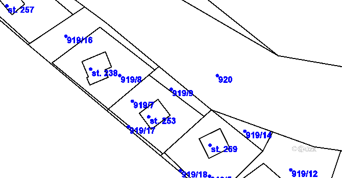 Parcela st. 919/9 v KÚ Svojanov, Katastrální mapa