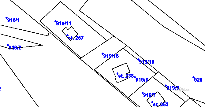 Parcela st. 919/16 v KÚ Svojanov, Katastrální mapa