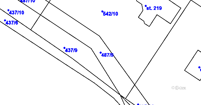 Parcela st. 487/9 v KÚ Svojkov, Katastrální mapa