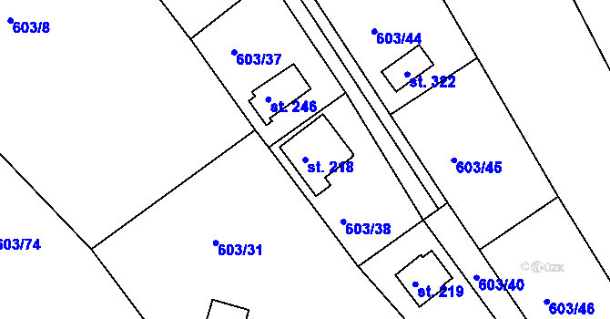 Parcela st. 218 v KÚ Svojkovice, Katastrální mapa
